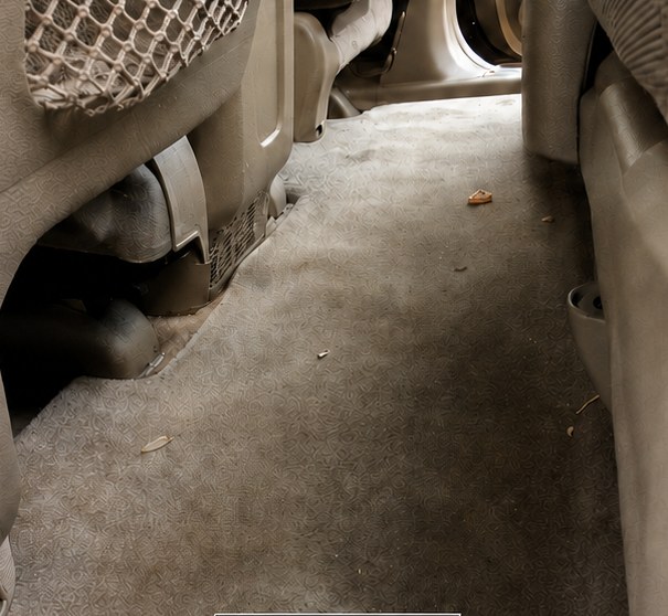 Interior Shampoo before and after — before